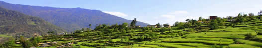 Supi village in Uttarakhand, India. © Dunira Strategy 2011